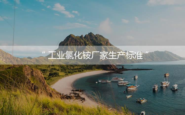 工業(yè)氯化銨廠家生產(chǎn)標(biāo)準(zhǔn)，生產(chǎn)過程進(jìn)行嚴(yán)密的監(jiān)控！